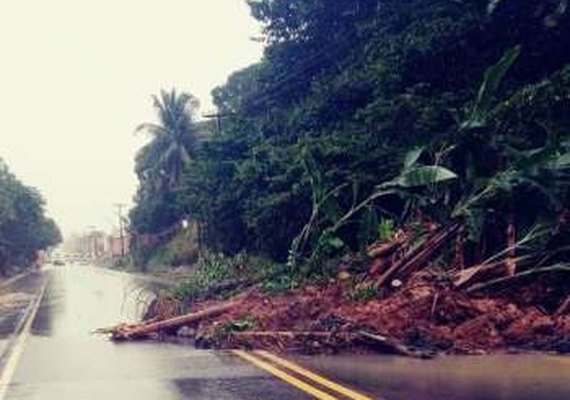 Deslizamento de terra causa obstrução parcial na AL-101 Norte, em Maragogi