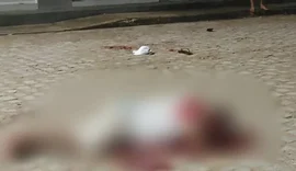 Banho de sangue no Norte: Briga de facão deixa dois feridos e um preso, em AL