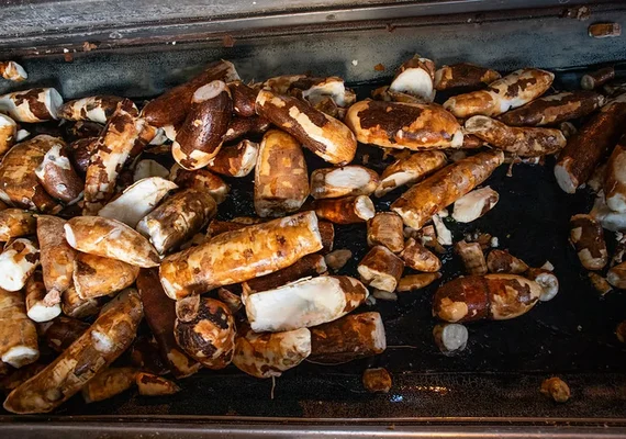 Preços da mandioca seguem em queda, mas demanda maior limita o recuo