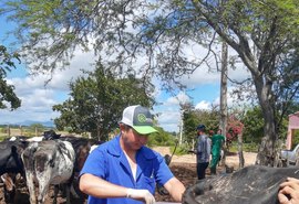 Alagoas inicia protocolo de inseminação artificial de bovinos do Mais Pecuária Brasil