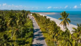 Menina de 10 anos sofre afundamento de crânio após ser atingida por coco, em AL