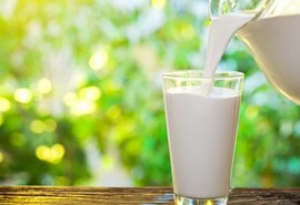 Início de julho marca queda em UHT e muçarela