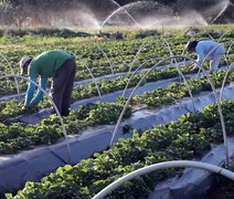 Cooperativismo com produção sustentável é pauta apresentada ao Governo Federal