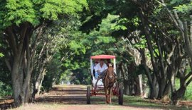 Formalização de políticas públicas direcionadas ao setor de turismo rural é aprovado na Câmara dos Deputados