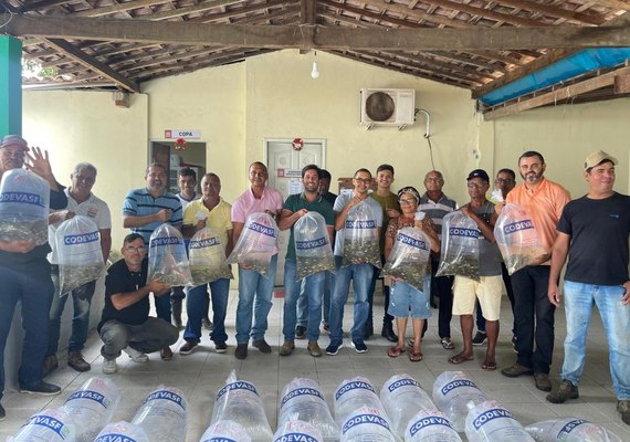 Parceria distribui 50 mil alevinos para produtores de pequeno porte em Penedo