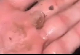 VÍDEO: Moradores do interior de Alagoas registram chuva de granizo