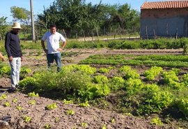 Produtores do Canal do Sertão ganham diversificação de culturas