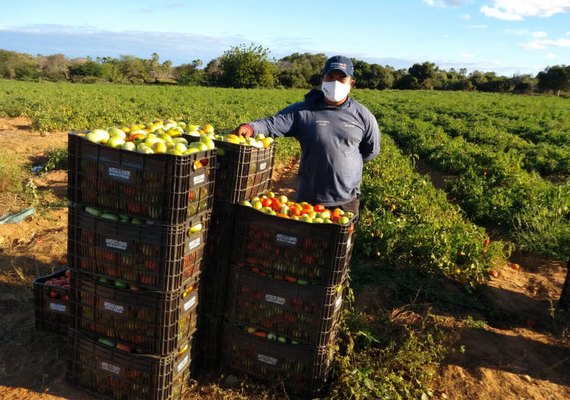 Vacinação: CNA pede prioridade para produtores