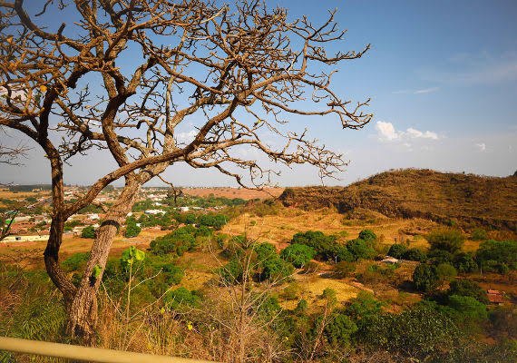 Cerrado: destinos que revelam a riqueza do bioma que é berço das águas