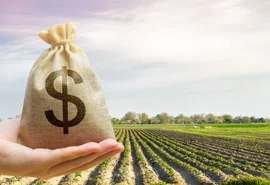 BNDES reabre linhas e anuncia mais crédito rural para safra 22/23