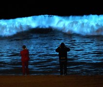 Pesquisadores conseguem prolongar brilho de alga bioluminescente