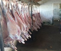 Polícia flagra abatedouro clandestino em União dos Palmares; dono foi preso