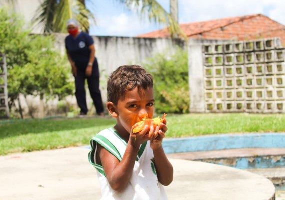 Pela primeira vez, Maceió ultrapassa meta de 30% de recursos na agricultura familiar