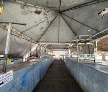 Aluguel pelo valor da compra: Mercado do Biu em Maceió com 'tendas de ouro'