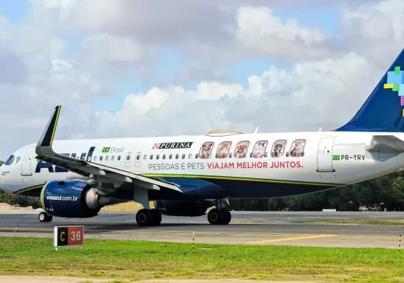 Recife recebe primeiro voo com serviço a bordo exclusivo para pets; confira