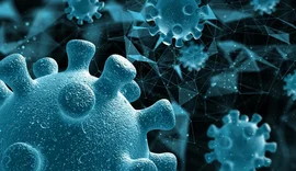 Cientistas japoneses descobrem vírus gigante com replicação inédita