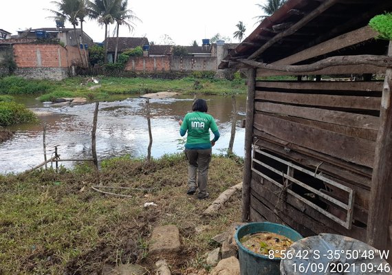 Multas por infrações ambientais na Área de Proteção Ambiental de Murici somam R$ 157 mil