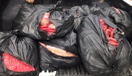 420 kg de linguiças clandestinas impróprias para consumo são apreendidas em operação da Vigilância Sanitária