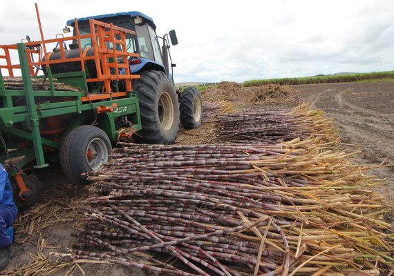 Coruripe e Pindorama firmam parceria para moagem de cana