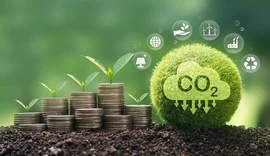 Mercado de carbono: como as cooperativas fazem parte dessa estratégia climática?