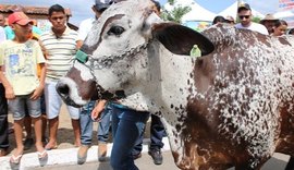 Expo Bacia Leiteira vai mostrar resultados de investimentos no setor