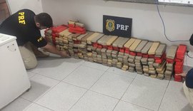 Polícia apreende mais de 200 kg de maconha dentro de veículo durante fiscalização