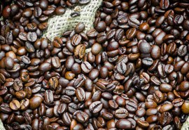 Exportação de café robusta cresce 4,7% em maio, aponta Cecafe