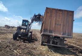 A ‘menor’ entressafra da história: AL começa moagem de cana com expectativa de alta de 0,1%