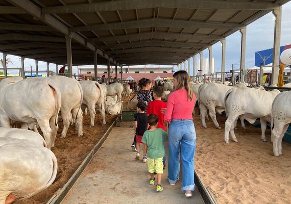 “Expoagro-AL estará no centro do agronegócio brasileiro”, aponta presidente da Agreste Leilões