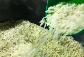 Governo Federal anula leilão de arroz beneficiado importado