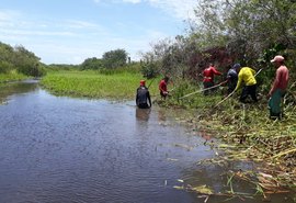 Prefeitura de Marechal Deodoro realiza limpeza especial no rio Regata