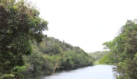 Setor sucroenergético reforça atuação em defesa do meio ambiente