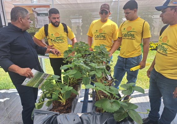 Rota da fruticultura mobiliza cooperativas da agricultura familiar