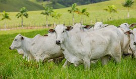 70º Expoagro/AL vai receber Encorte 4.0