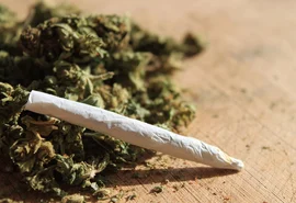 Quase 8 toneladas de maconha são apreendidas pela PRF nesta quinta-feira (26)