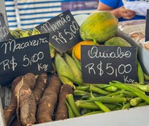 Feira em Murici reúne produtores de 8 municípios
