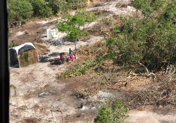 IMA aplica multa de R$ 750 mil por desmatamento de 100 hectares em Piaçabuçu