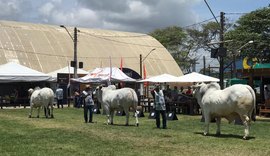 Expoagro 2019 faz pista de julgamento de alto nível