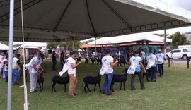 Nacional do Santa Inês movimenta o Parque da Pecuária