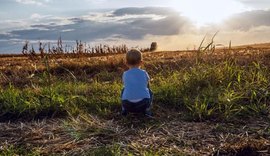 Um panorama para o agro de 2024