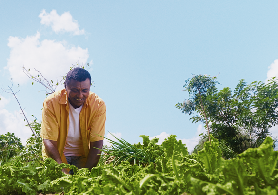 Programa Garantia-Safra libera pagamento para mais de 22 mil agricultores alagoanos