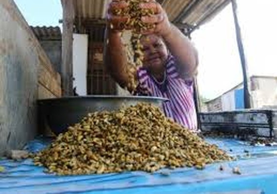 Pescadores e marisqueiras se arriscam para manter sustento em Alagoas