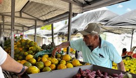 Circuito Regional de Feiras da Agricultura Familiar ganha novo formato em 2026