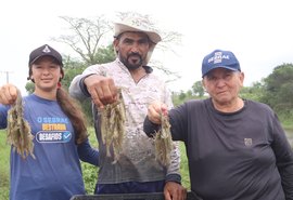 Cadeia produtiva do camarão avança em Alagoas com apoio do Senar