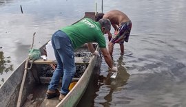 Amostras da Laguna Mundaú são coletadas para análise após morte de peixes
