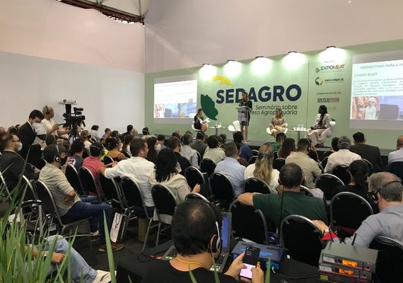 Influenza aviária terá abordagem especial durante Seminário sobre defesa agropecuária