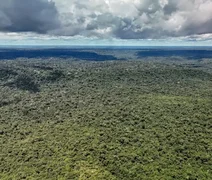 Amazônia registra menor desmatamento em 41 anos, aponta MapBiomas