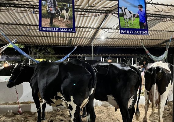 41ª Expo Bacia vai democratizar genética leiteira