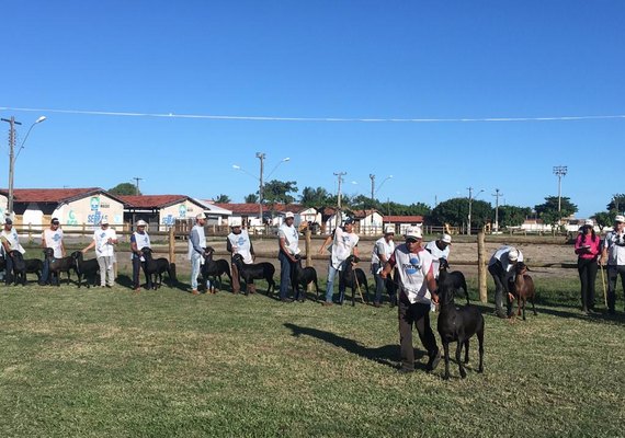 Expoalagoas Genética recebe palestra sobre seleção genômica nesta quinta (16)