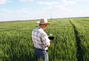 Fazendas mais lucrativas ganham mais que o dobro da média no Brasil